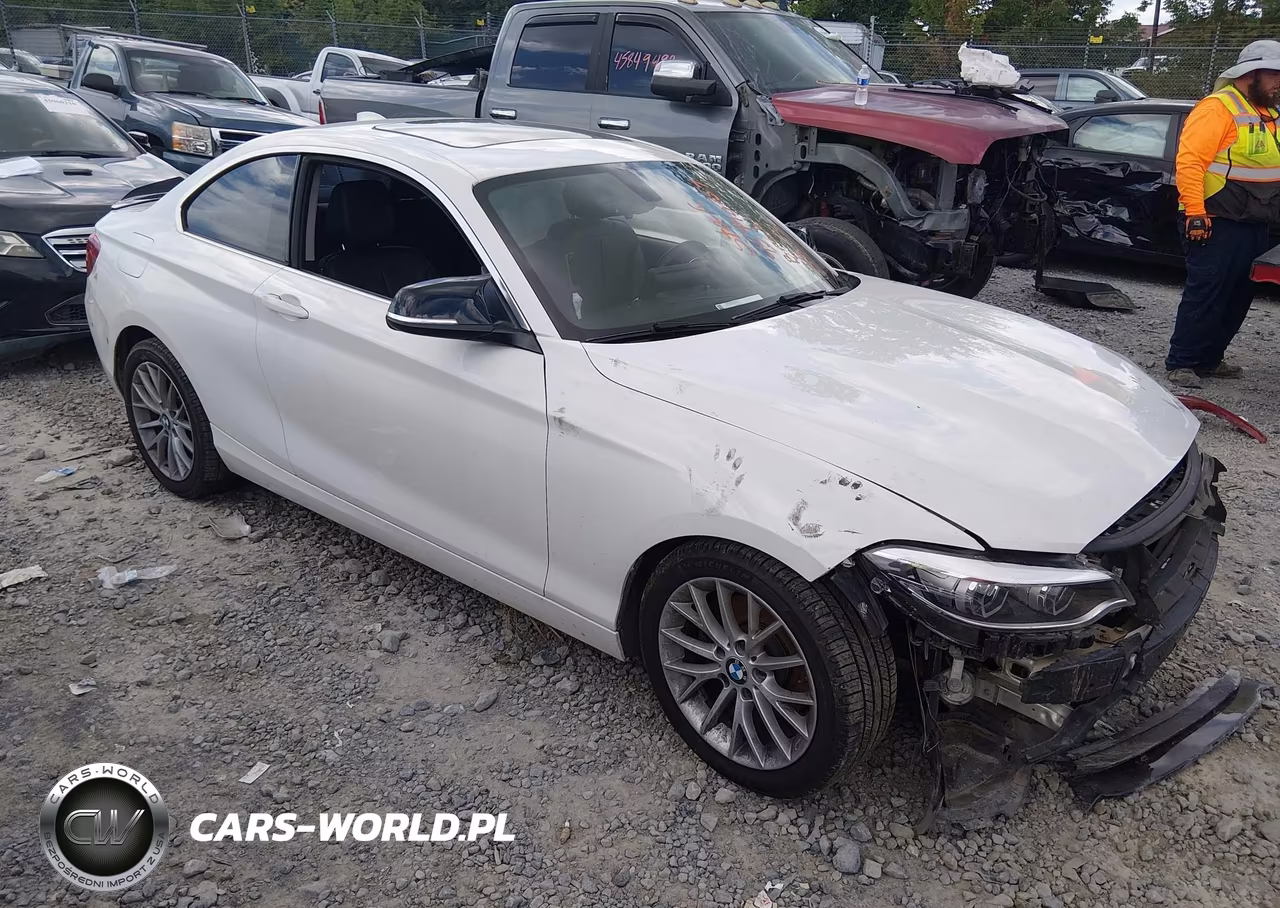 2014 BMW 228I VIN:WBA1F5C50EVV99223 - 1