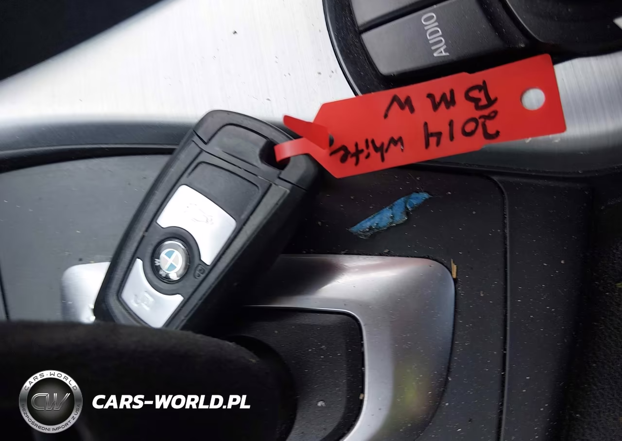 2014 BMW 228I VIN:WBA1F5C50EVV99223 - 11