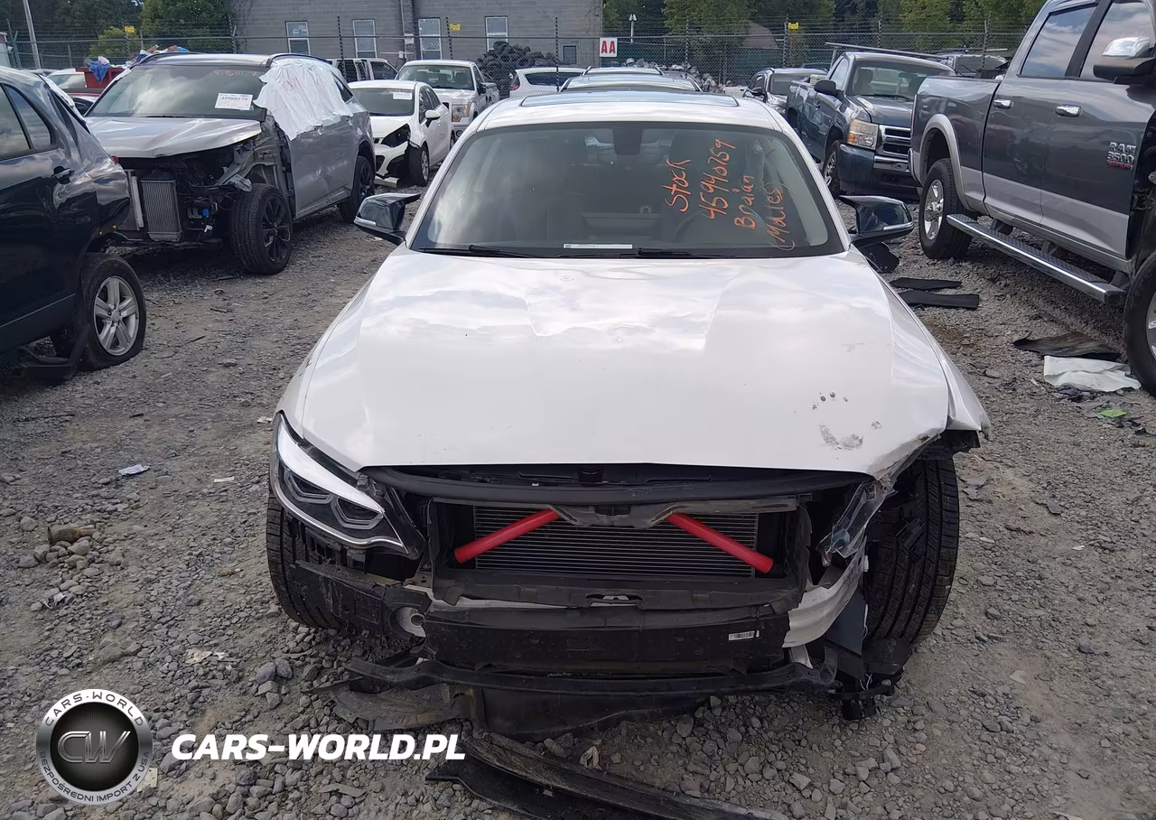 2014 BMW 228I VIN:WBA1F5C50EVV99223 - 12