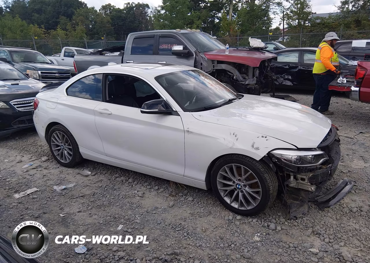 2014 BMW 228I VIN:WBA1F5C50EVV99223 - 13