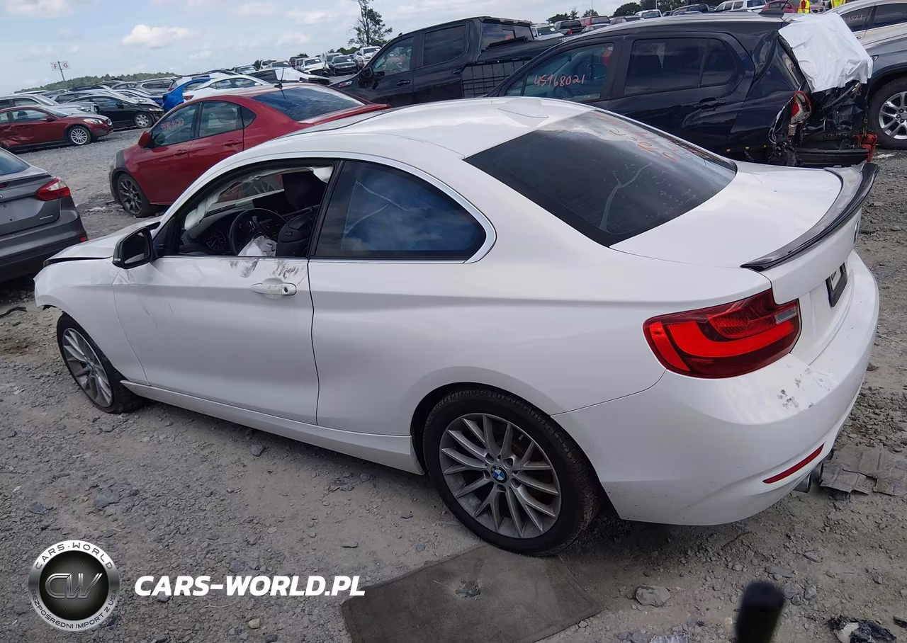 2014 BMW 228I VIN:WBA1F5C50EVV99223 - 14