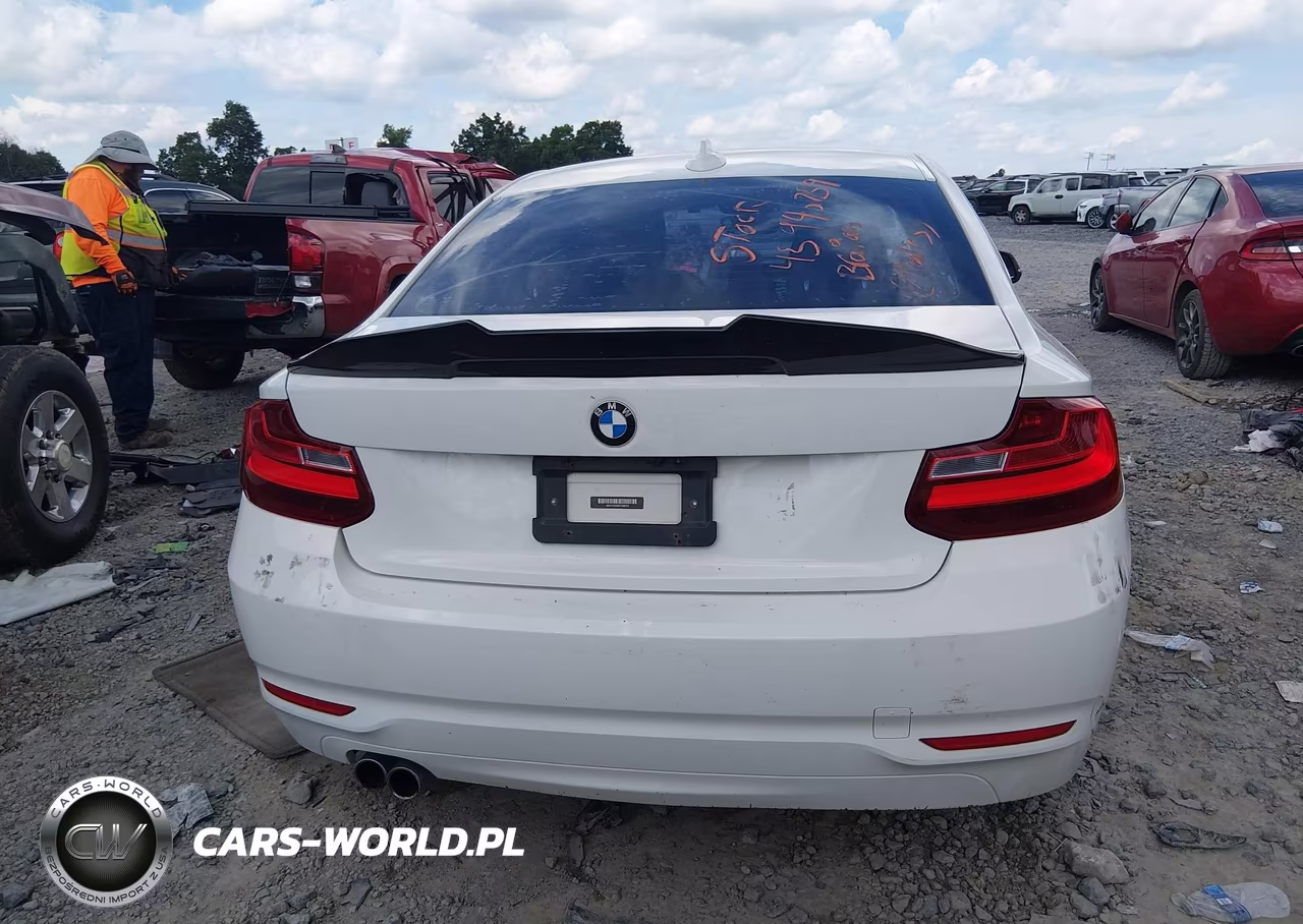 2014 BMW 228I VIN:WBA1F5C50EVV99223 - 16