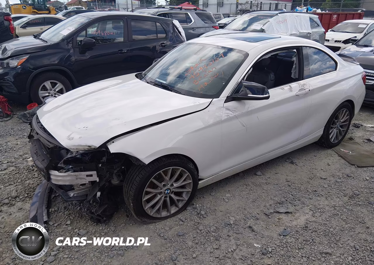 2014 BMW 228I VIN:WBA1F5C50EVV99223 - 2