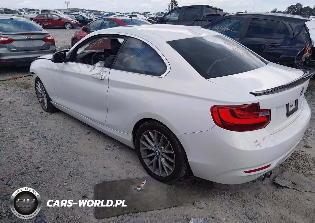 2014 BMW 228I VIN:WBA1F5C50EVV99223 - 3
