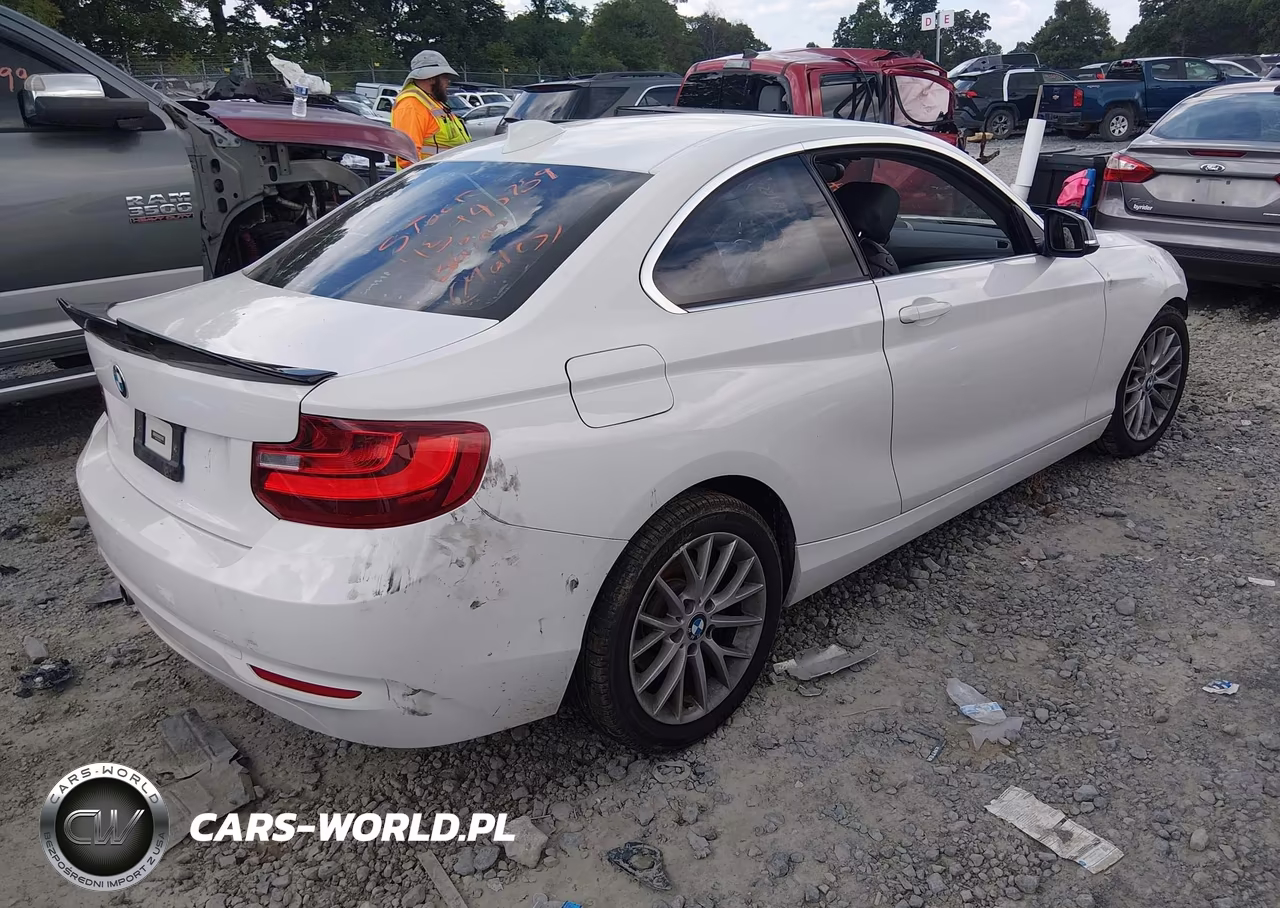 2014 BMW 228I VIN:WBA1F5C50EVV99223 - 4