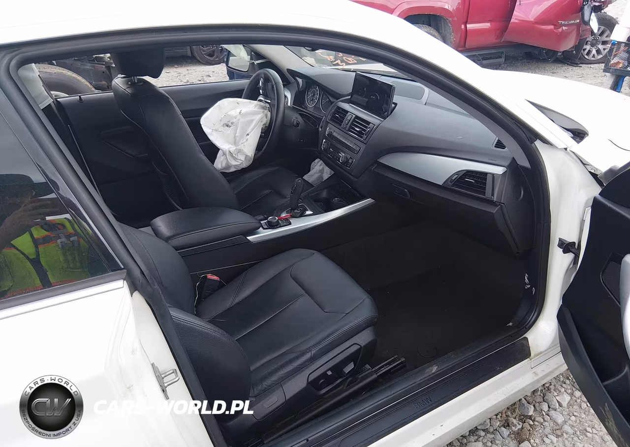 2014 BMW 228I VIN:WBA1F5C50EVV99223 - 5