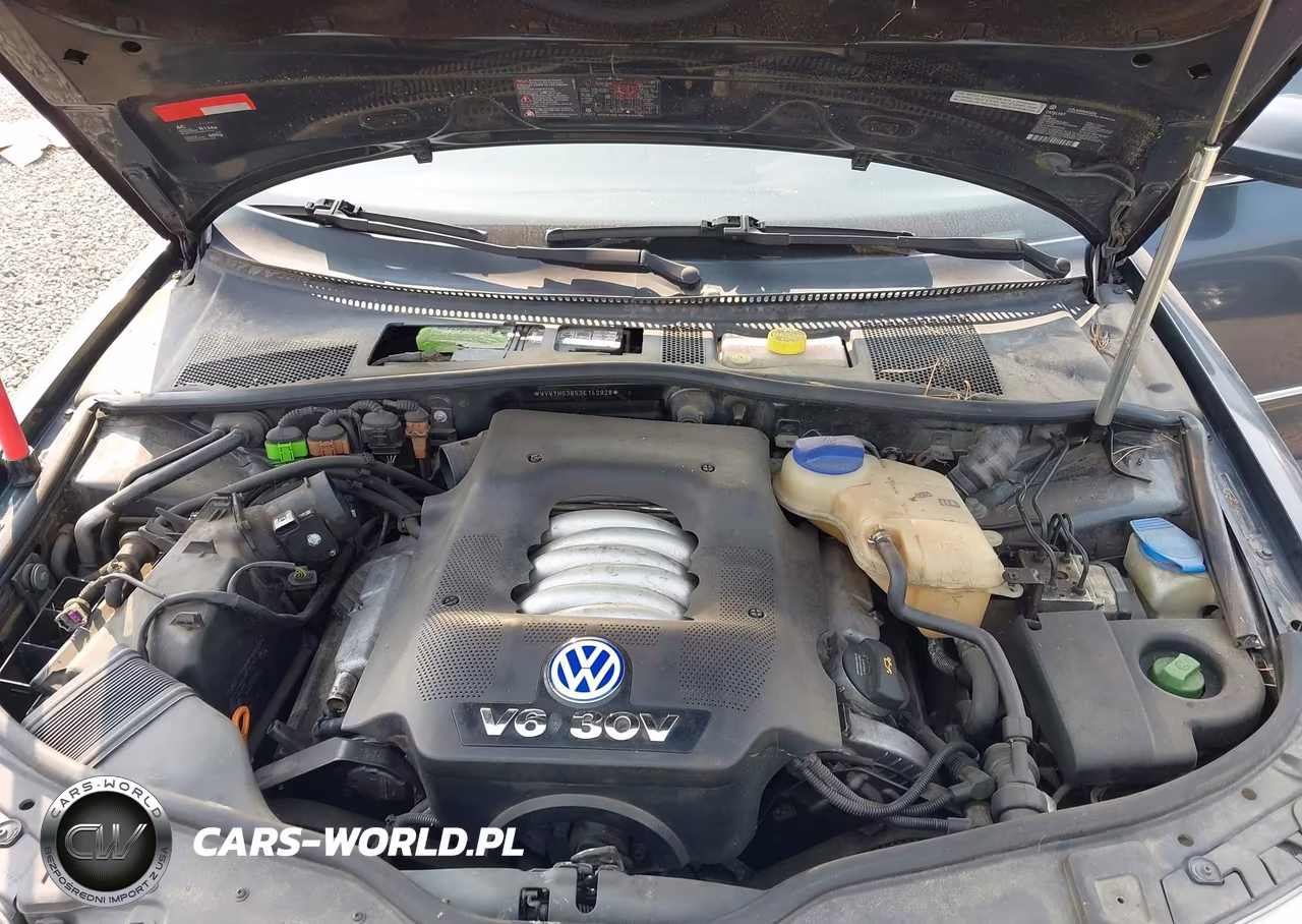 2003 Volkswagen Passat Glx VIN:WVWYH63B53E142928 - 10