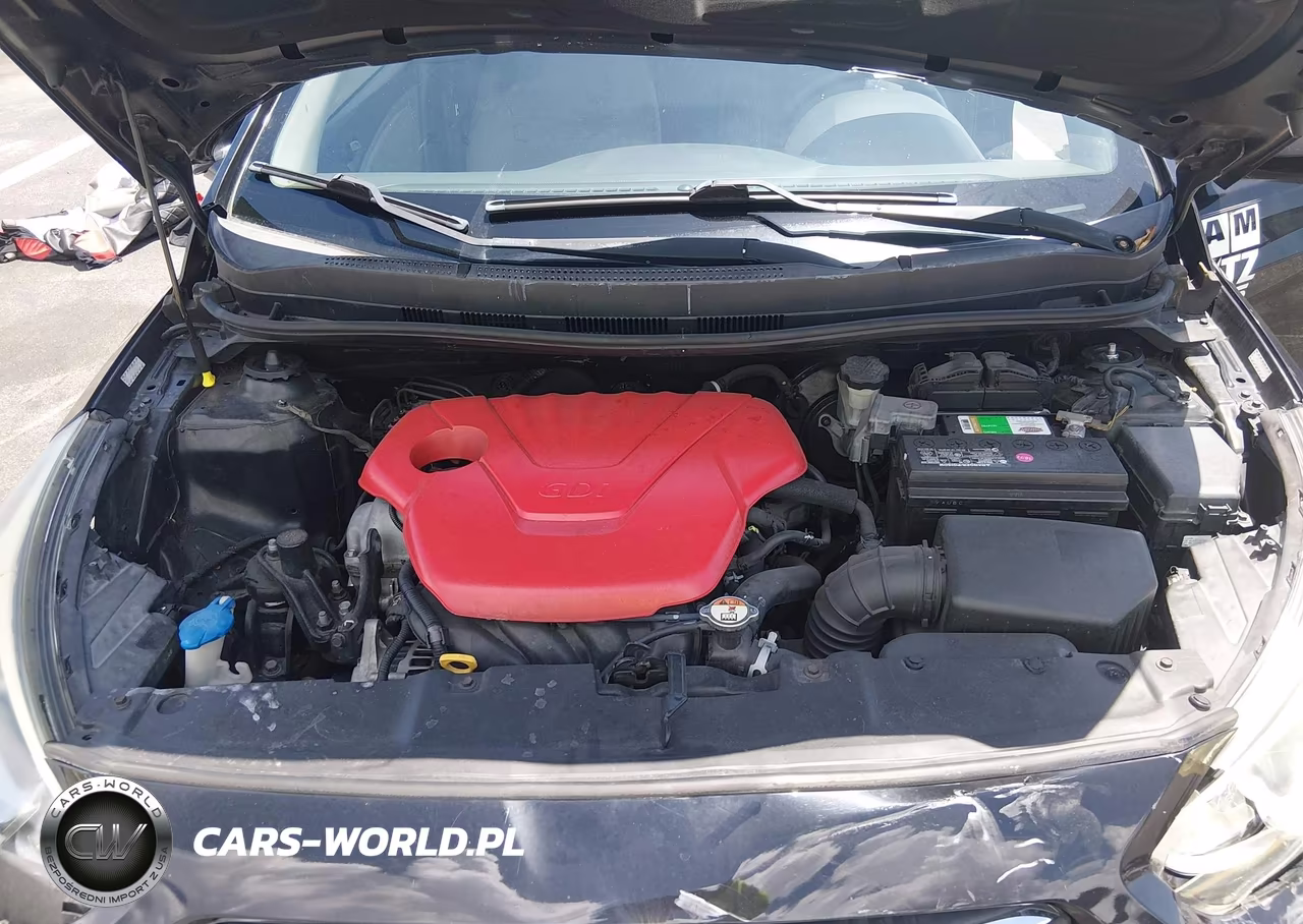 2015 Hyundai Accent Gs VIN:KMHCT5AEOFU226077 - 10