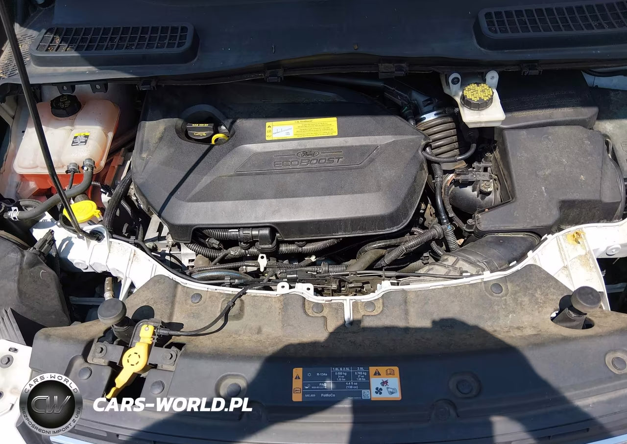 2013 Ford Escape Se VIN:1FMCU0GXXDUB60059 - 10