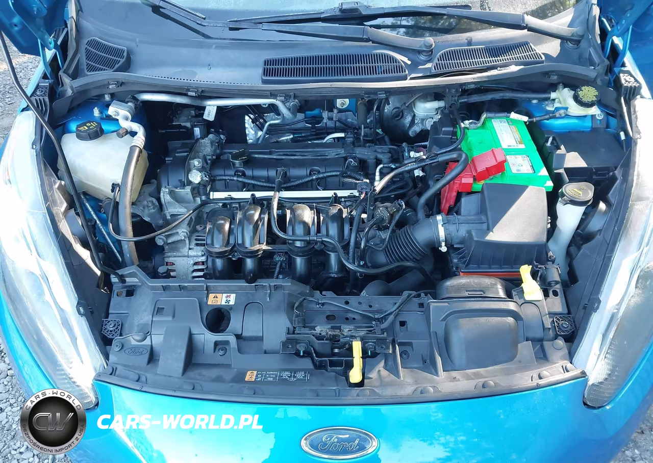 2014 Ford Fiesta Se VIN:3FADP4BJXEM205443 - 10