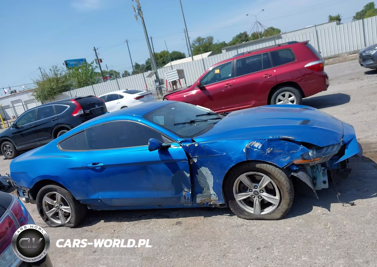 2020 Ford Mustang Ecoboost Fastback VIN:1FA6P8THXL5114123 - 12
