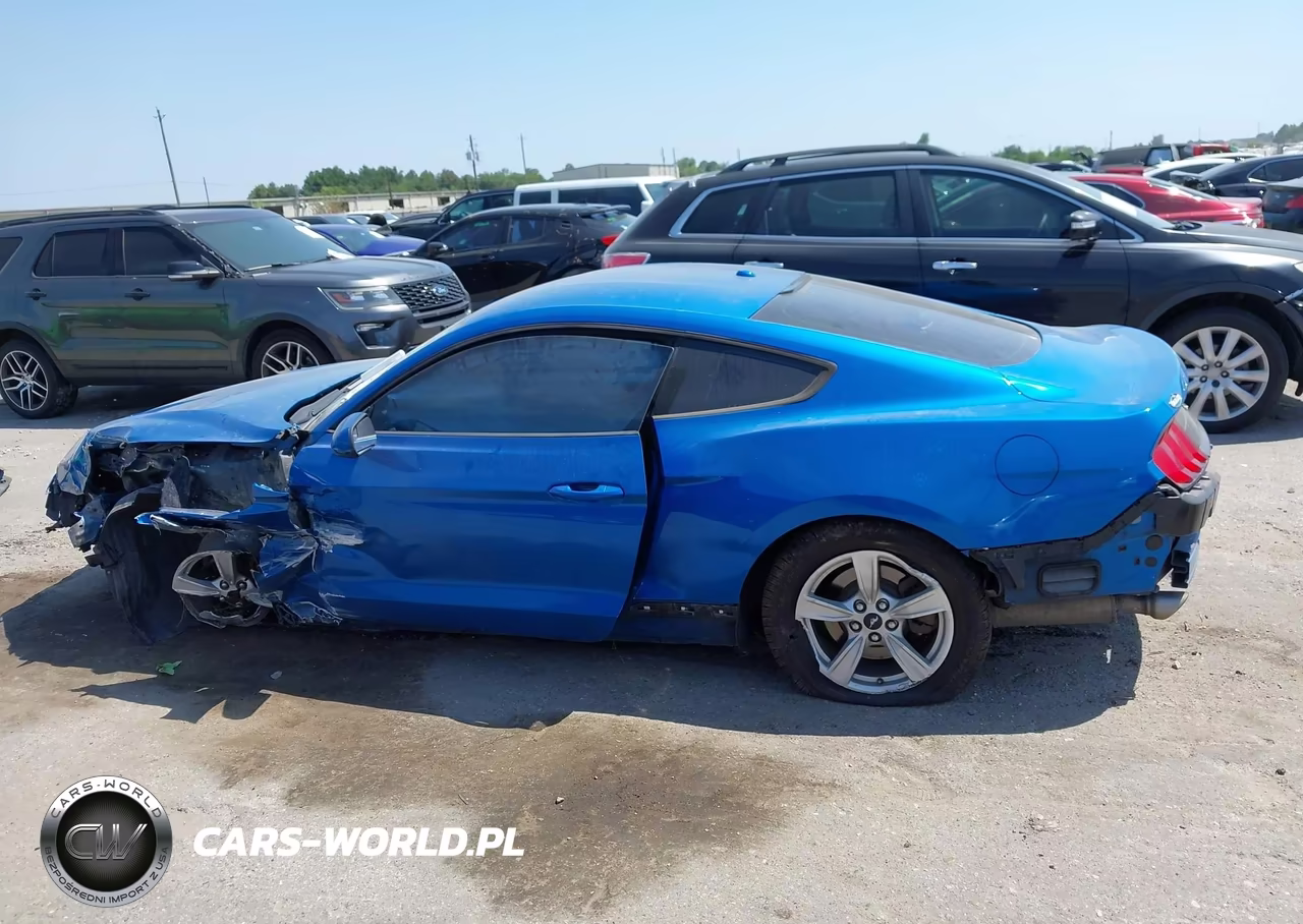 2020 Ford Mustang Ecoboost Fastback VIN:1FA6P8THXL5114123 - 13