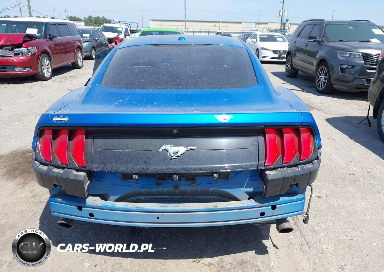 2020 Ford Mustang Ecoboost Fastback VIN:1FA6P8THXL5114123 - 15
