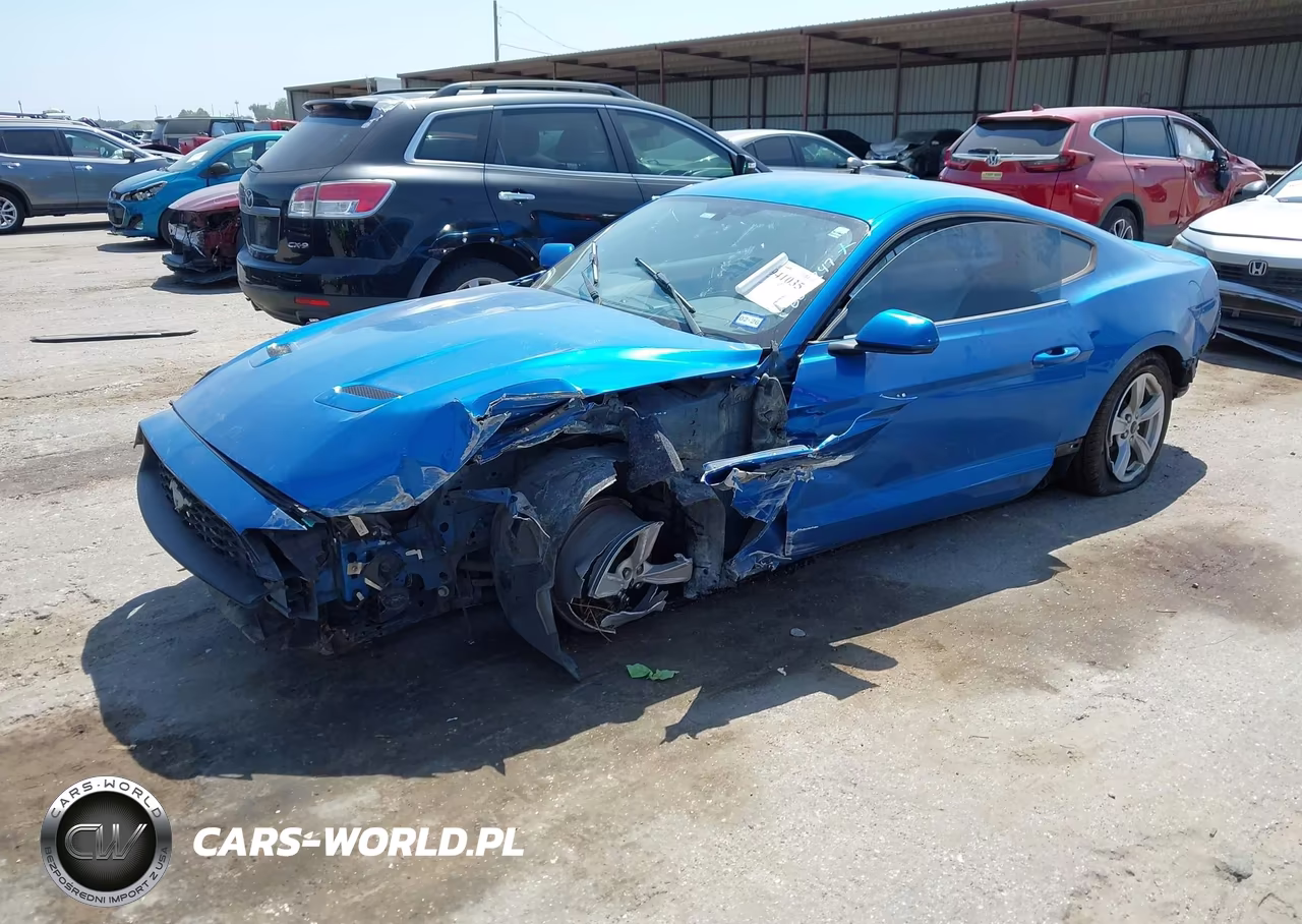 2020 Ford Mustang Ecoboost Fastback VIN:1FA6P8THXL5114123 - 2