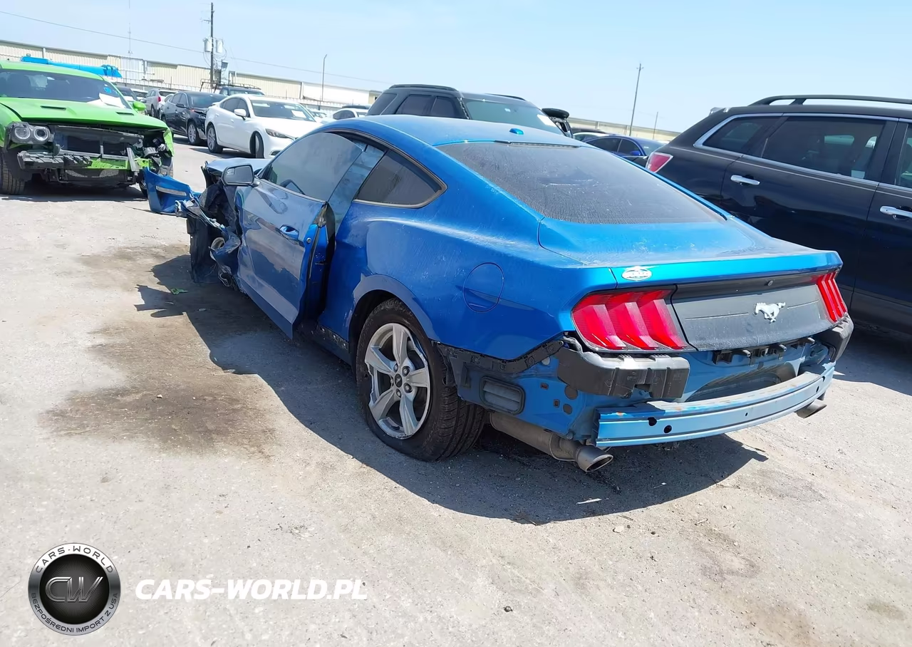 2020 Ford Mustang Ecoboost Fastback VIN:1FA6P8THXL5114123 - 3