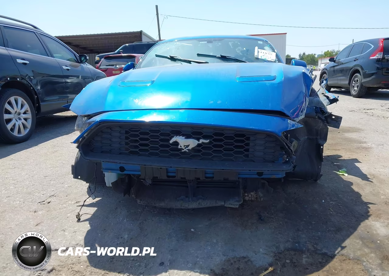 2020 Ford Mustang Ecoboost Fastback VIN:1FA6P8THXL5114123 - 6