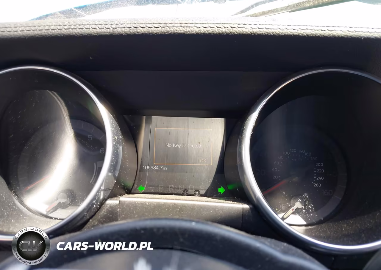 2020 Ford Mustang Ecoboost Fastback VIN:1FA6P8THXL5114123 - 7