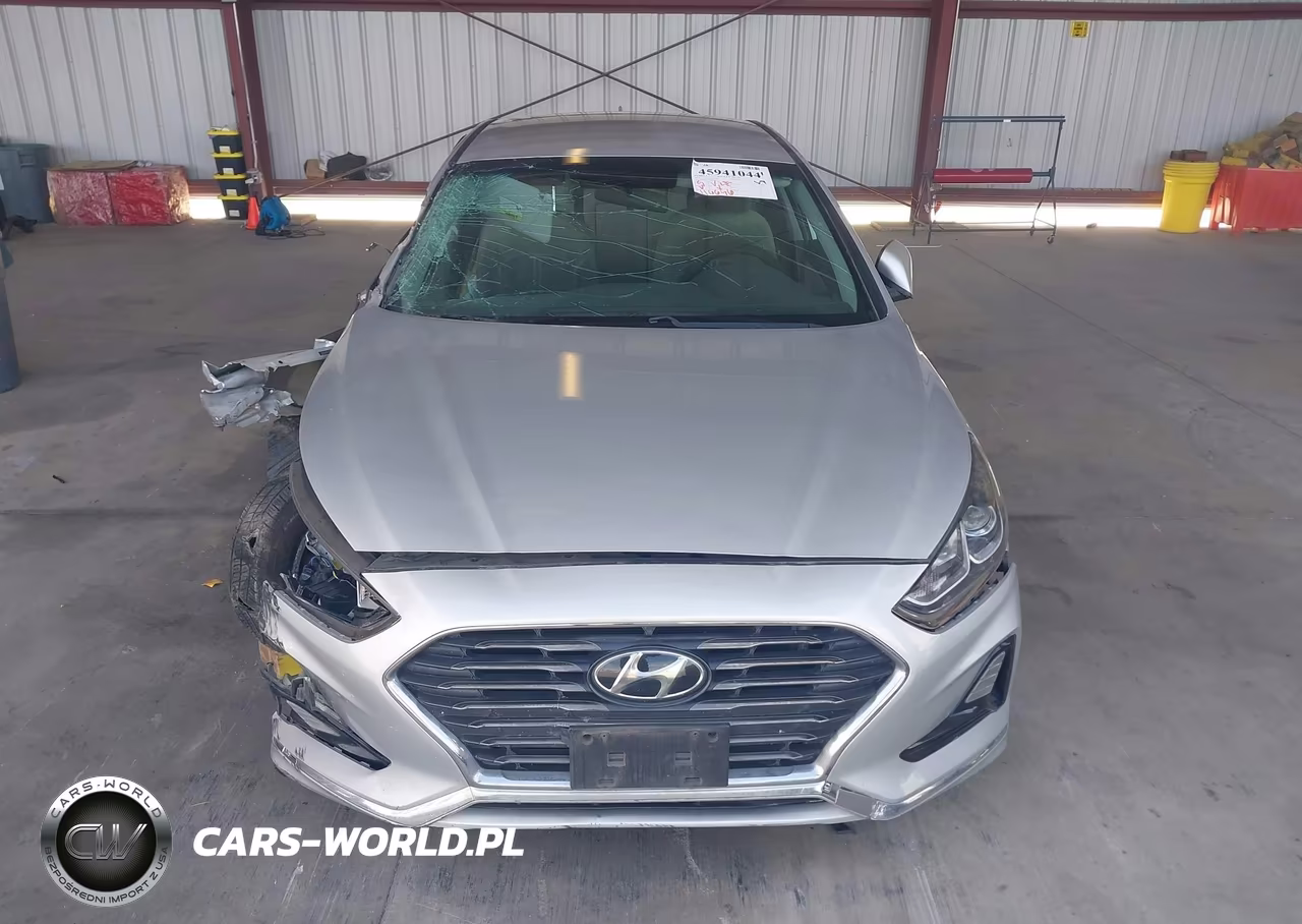 2019 Hyundai Sonata Se VIN:5NPE24AF4KH800834 - 12