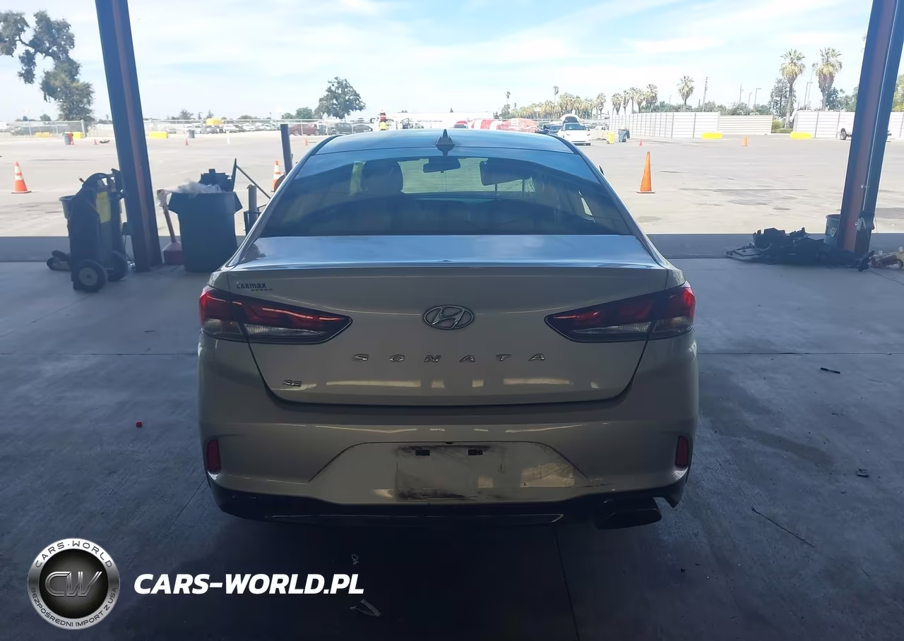 2019 Hyundai Sonata Se VIN:5NPE24AF4KH800834 - 16