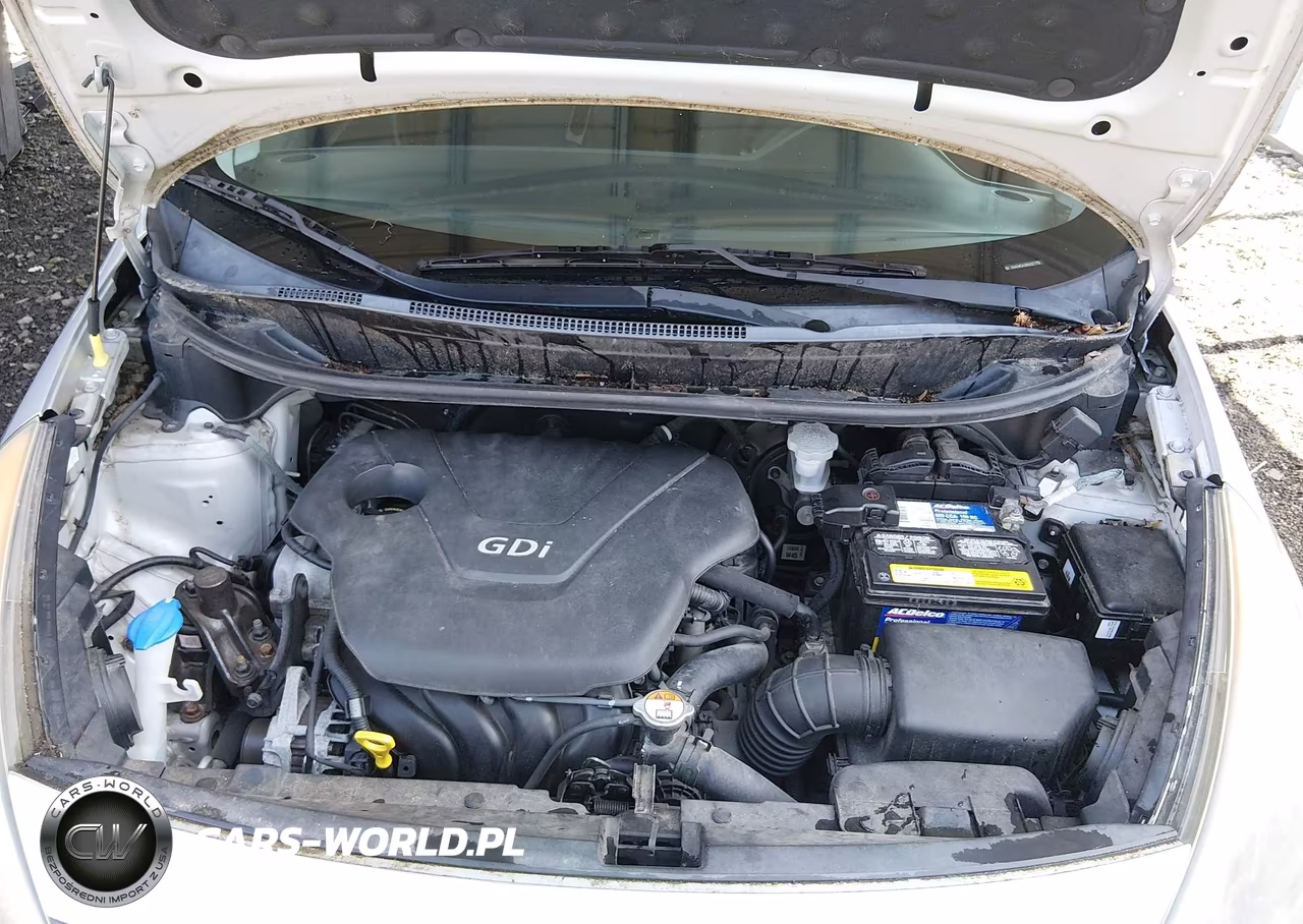 2014 Kia Rio Lx VIN:KNADM5A39E6327719 - 10