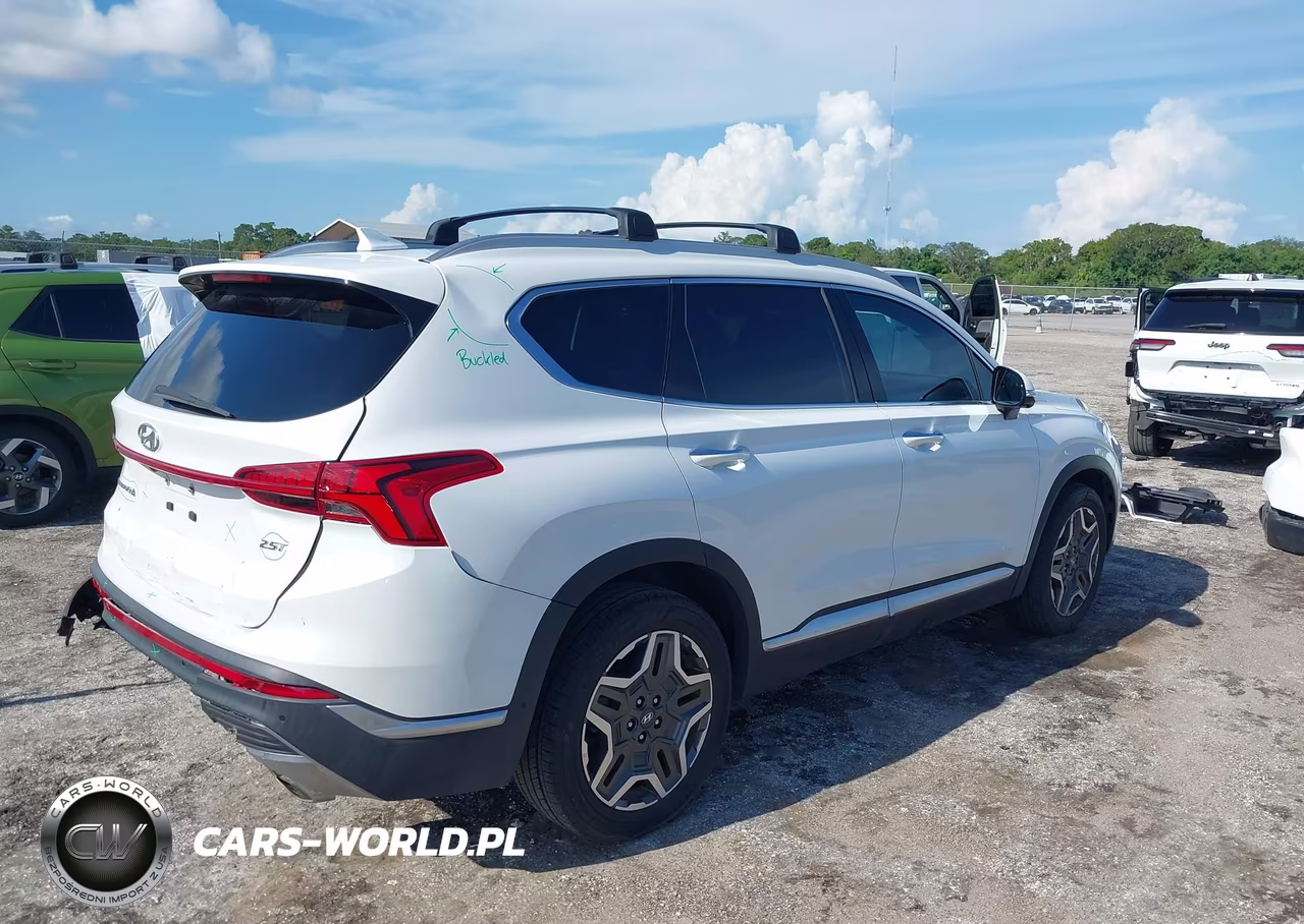 2022 Hyundai Santa Fe Limited VIN:5NMS44AL5NH399914 - 4