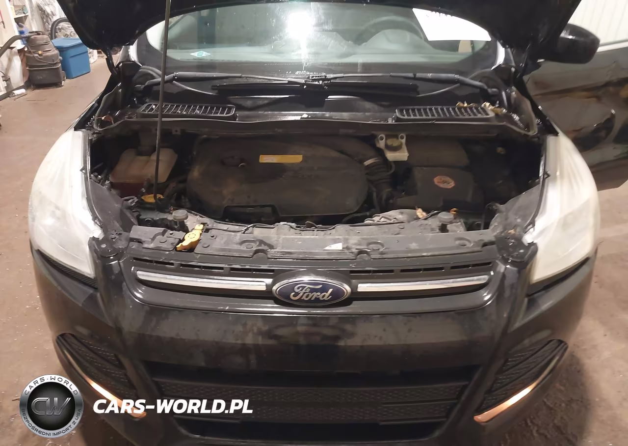 2016 Ford Escape Se VIN:1FMCU0GX9GUC51568 - 10