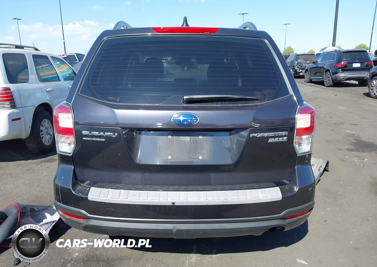 2017 Subaru Forester 2.5I VIN:JF2SJABC9HH539928 - 17