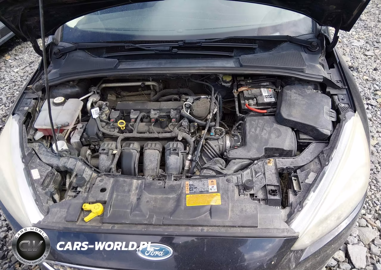 2015 Ford Focus Se VIN:1FADP3K21FL213744 - 10