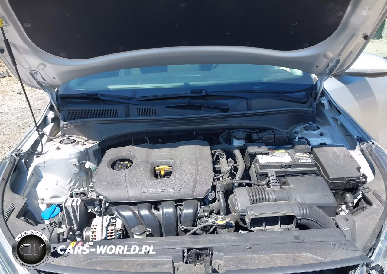 2019 Kia Forte Lxs VIN:3KPF24AD4KE134081 - 10