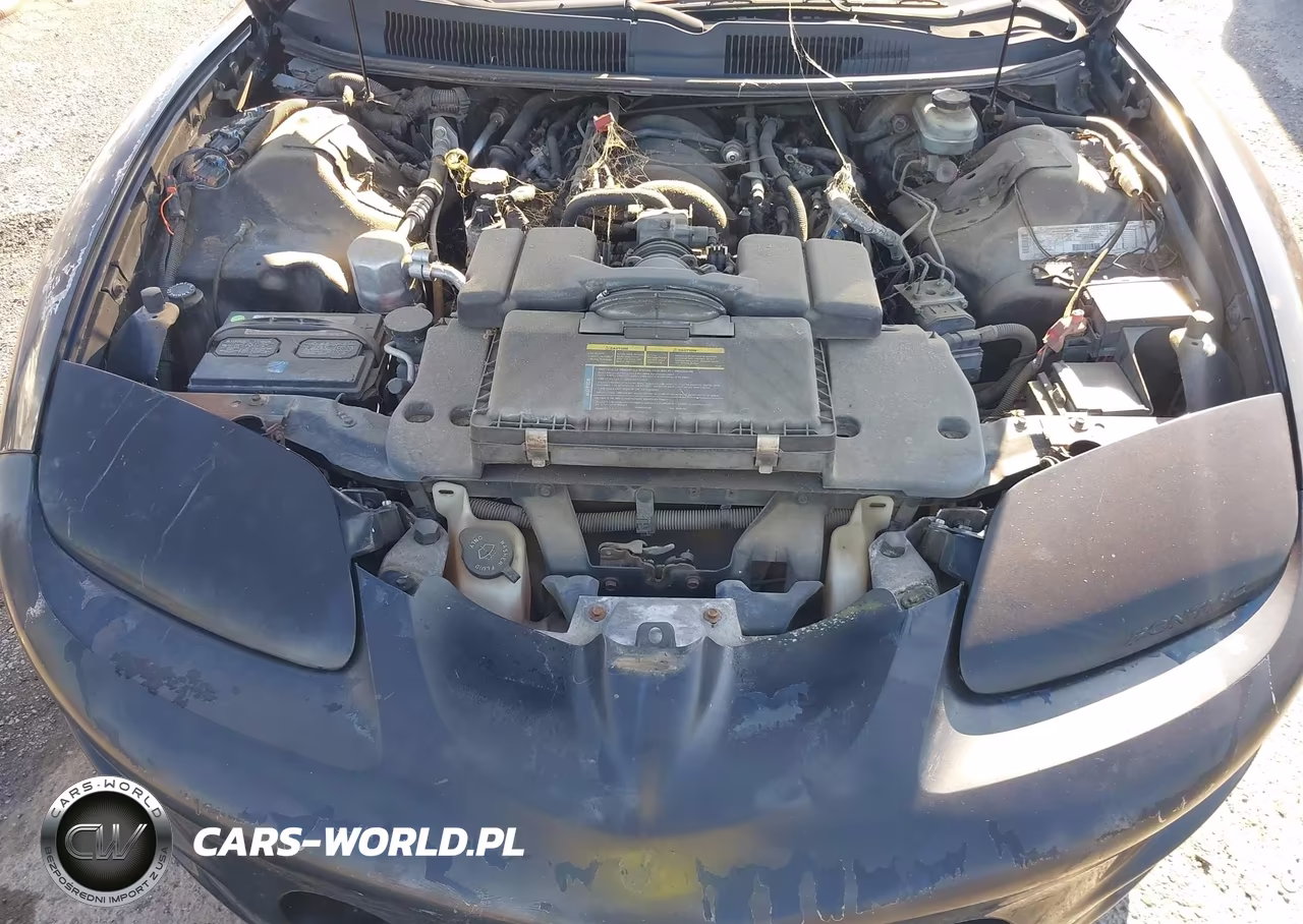 1998 Pontiac Firebird Trans Am VIN:2G2FV22G4W2215703 - 6