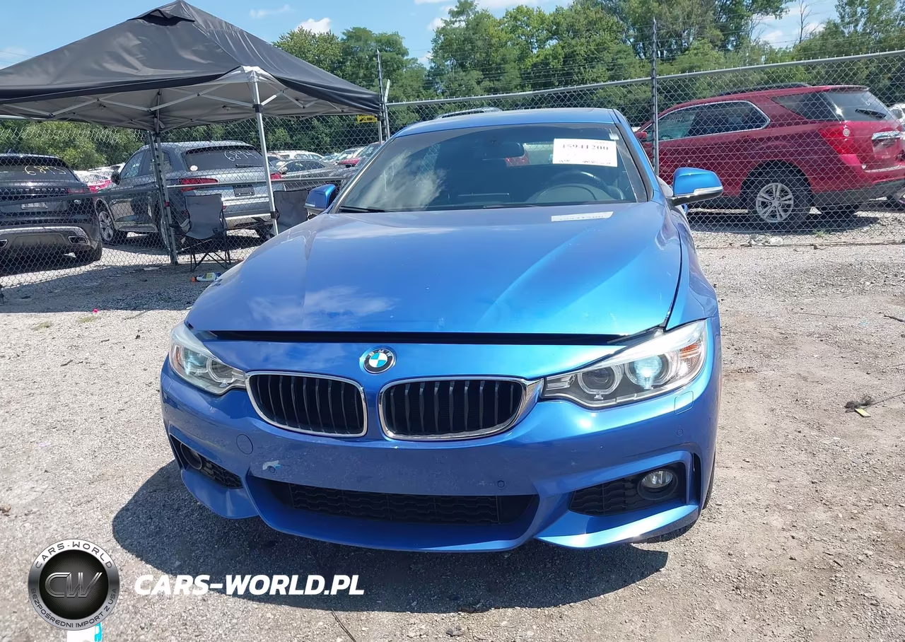 2017 BMW 430I Gran Coupe xDrive VIN:WBA4F9C52HG791787 - 12
