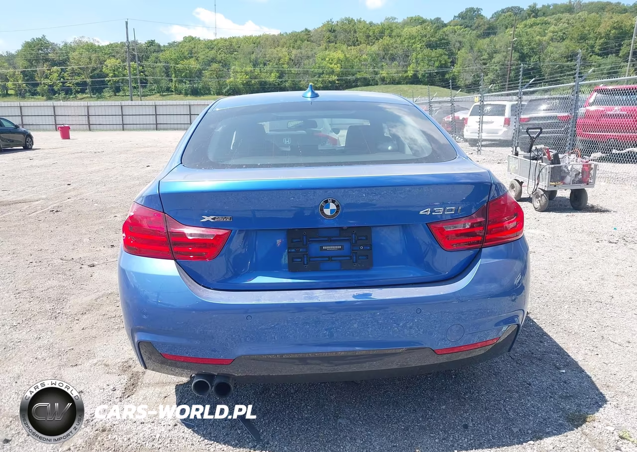 2017 BMW 430I Gran Coupe xDrive VIN:WBA4F9C52HG791787 - 16