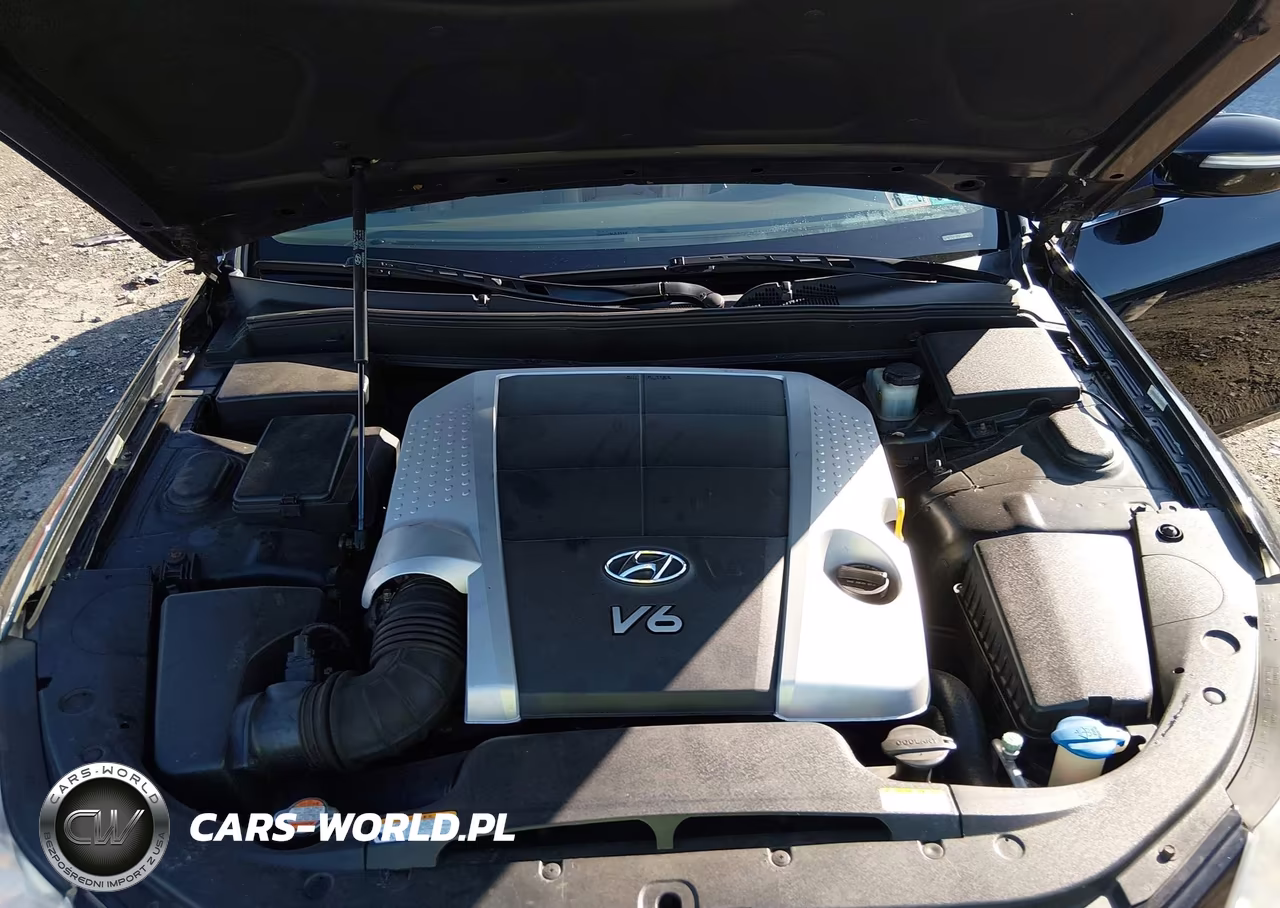 2010 Hyundai Genesis 3.8 VIN:KMHGC4DE8AU074484 - 10