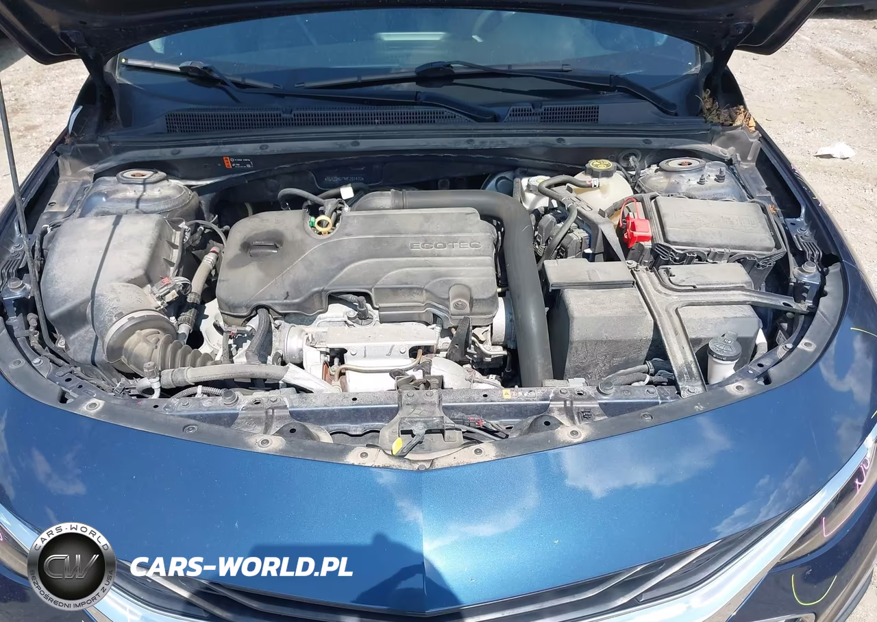 2019 Chevrolet Malibu Lt VIN:1G1ZD5ST9KF201470 - 10
