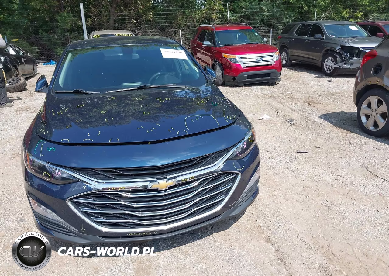 2019 Chevrolet Malibu Lt VIN:1G1ZD5ST9KF201470 - 12