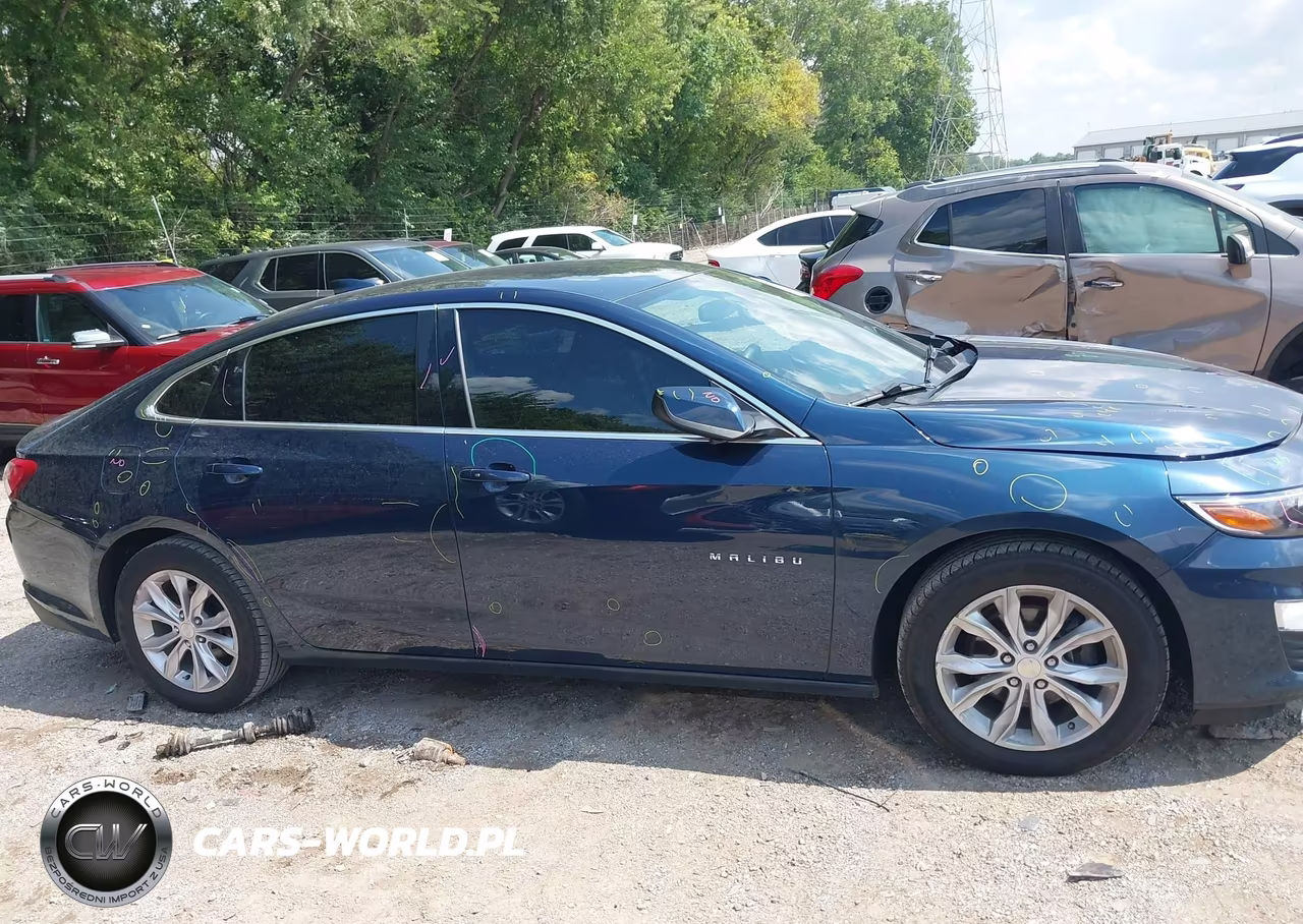 2019 Chevrolet Malibu Lt VIN:1G1ZD5ST9KF201470 - 13