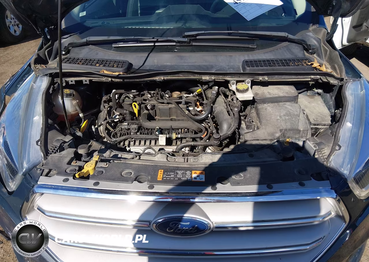 2019 Ford Escape Sel VIN:1FMCU9HD0KUB97563 - 10