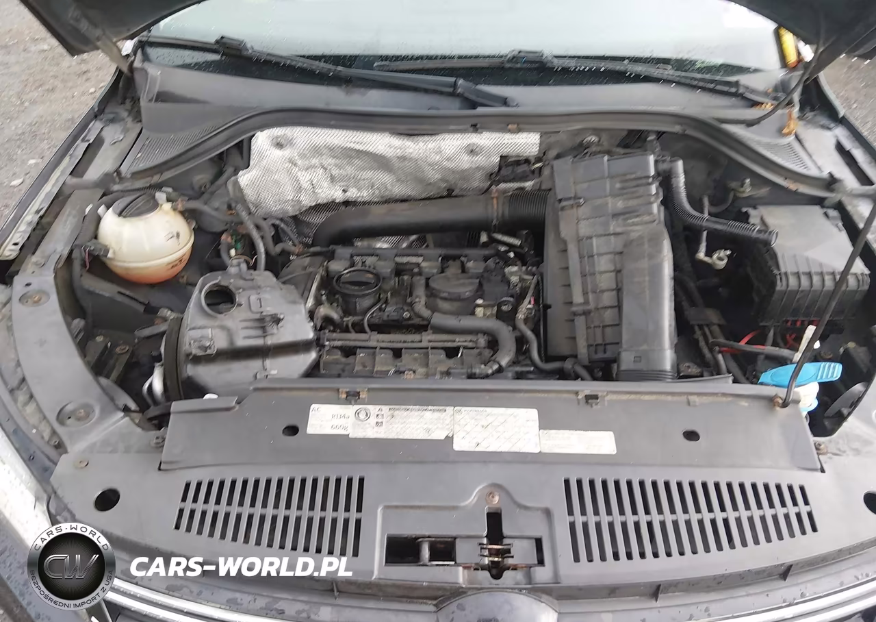 2012 Volkswagen Tiguan Le VIN:WVGAV7AX3CW568640 - 10