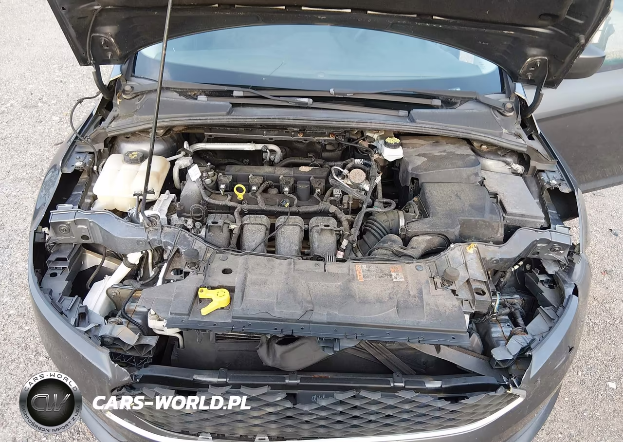 2018 Ford Focus Se VIN:1FADP3K20JL209242 - 10