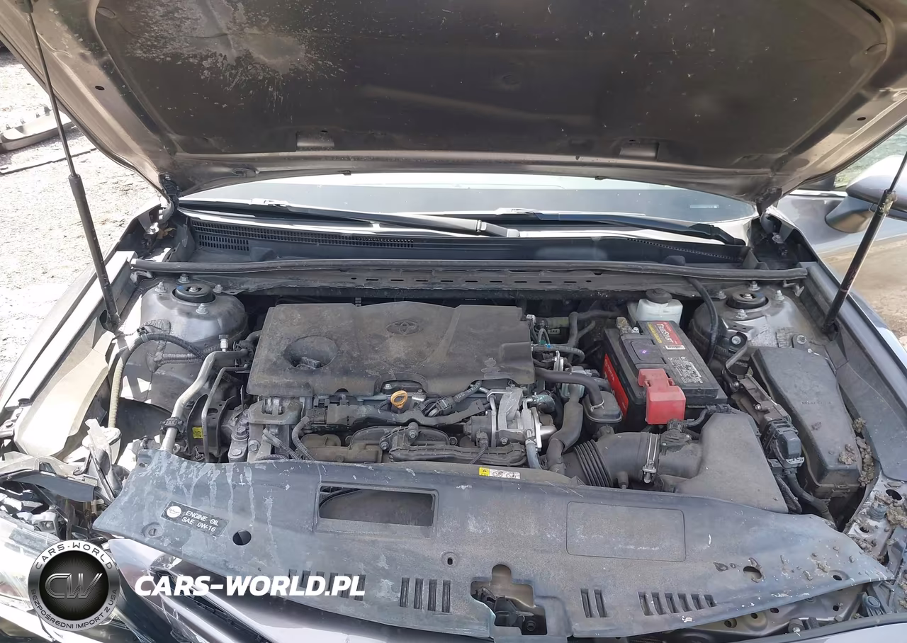 2019 Toyota Camry Se VIN:4T1B11HKXKU271236 - 10