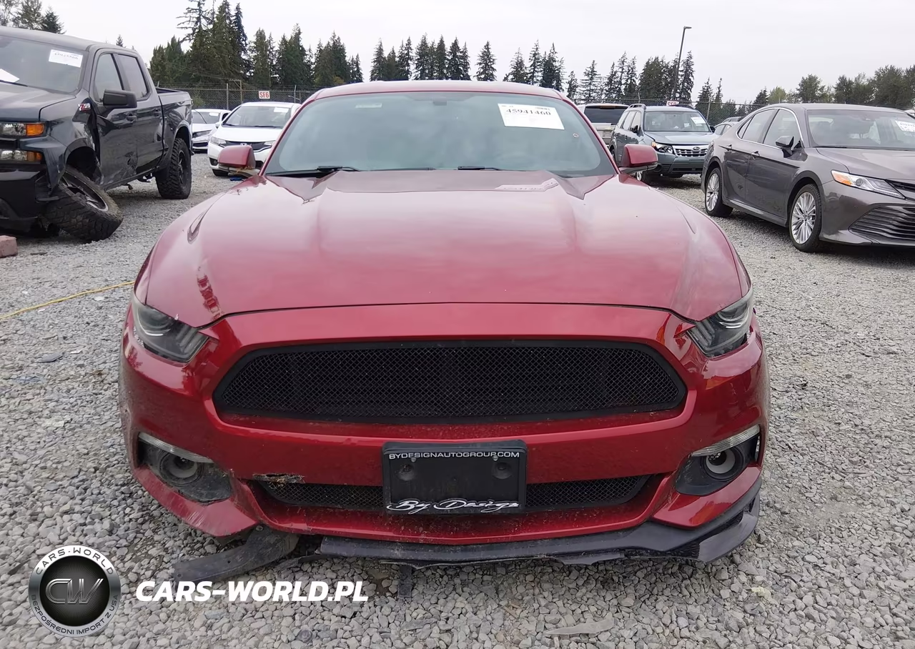 2015 Ford Mustang Ecoboost Premium VIN:1FA6P8TH8F5427627 - 13