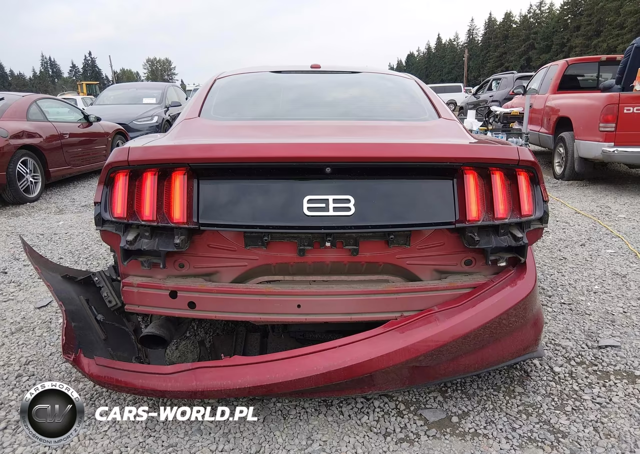 2015 Ford Mustang Ecoboost Premium VIN:1FA6P8TH8F5427627 - 17