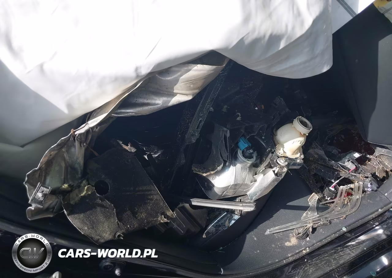 2019 Honda Civic Sport VIN:2HGFC2F88KH509098 - 8