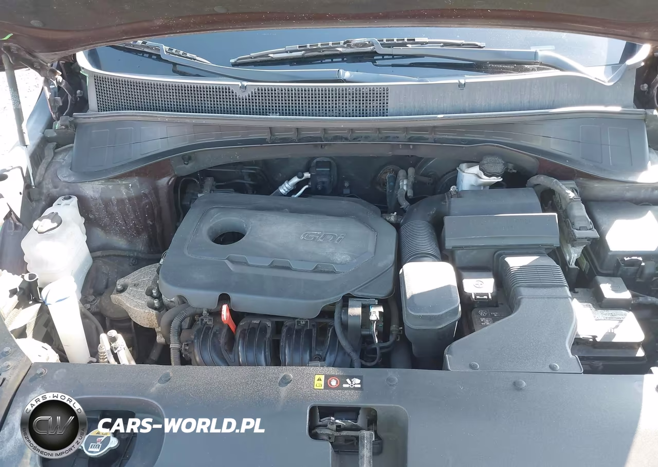2019 Kia Sorento 2.4L Lx VIN:5XYPGDA3XKG554332 - 10
