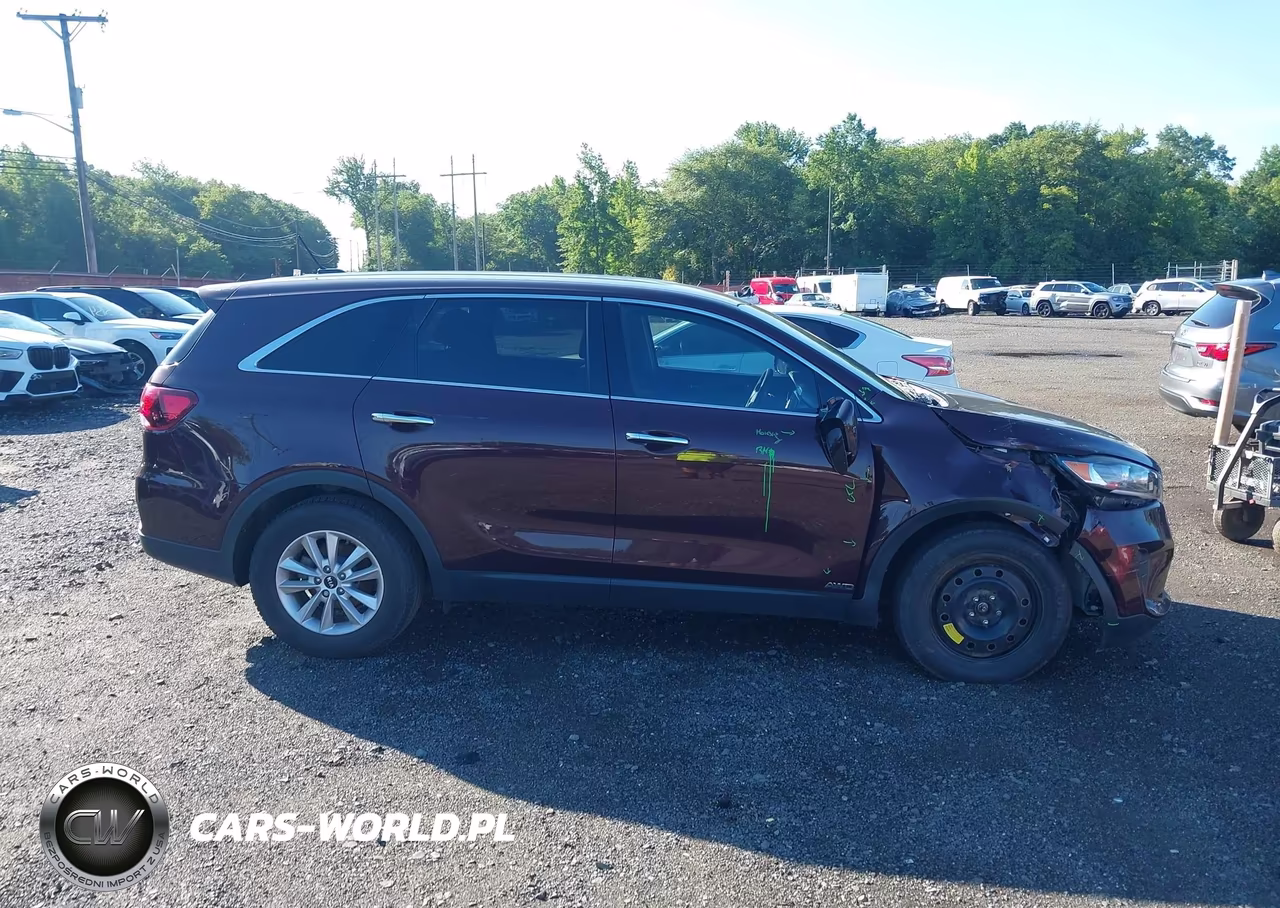 2019 Kia Sorento 2.4L Lx VIN:5XYPGDA3XKG554332 - 13