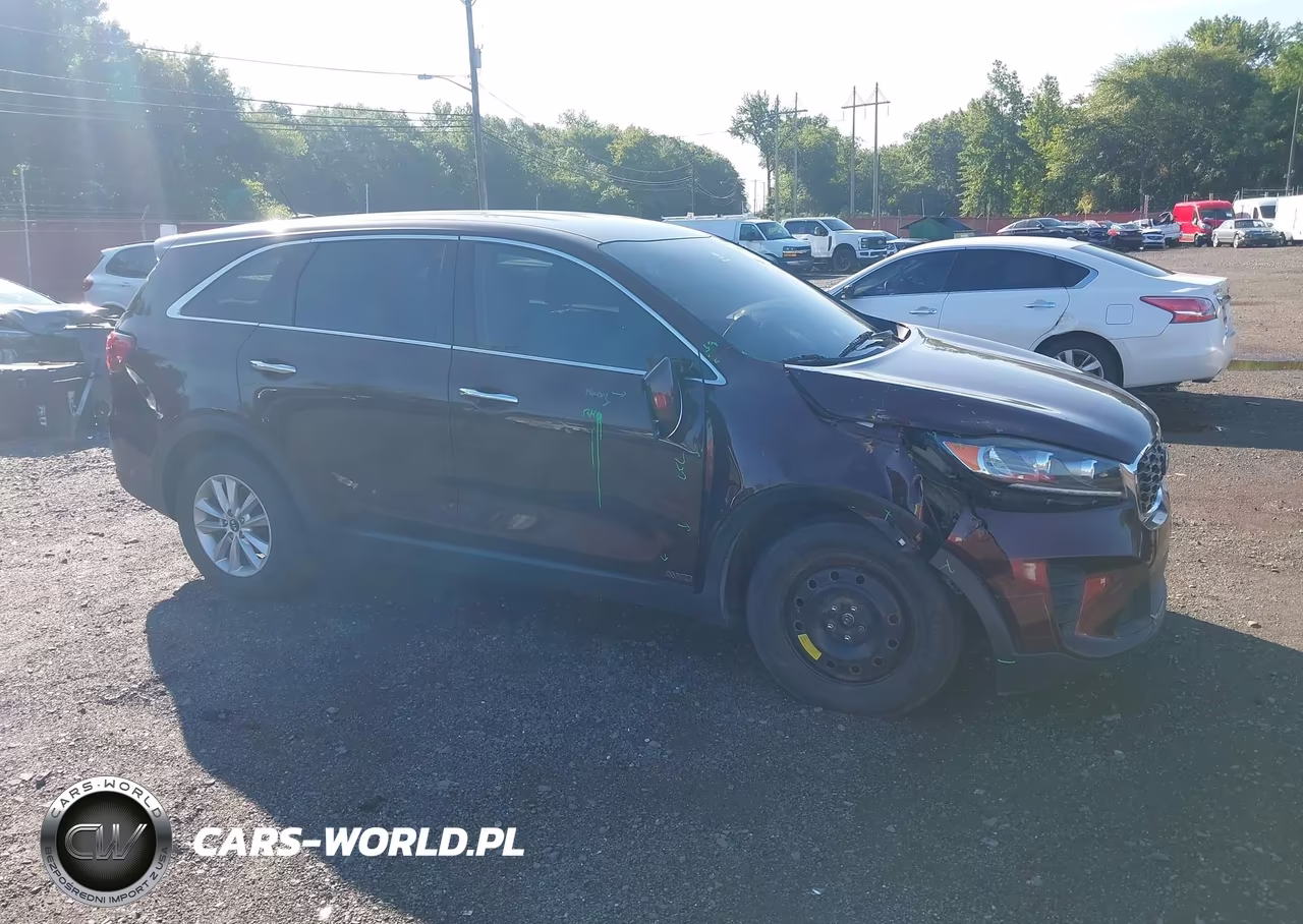 2019 Kia Sorento 2.4L Lx VIN:5XYPGDA3XKG554332 - 17
