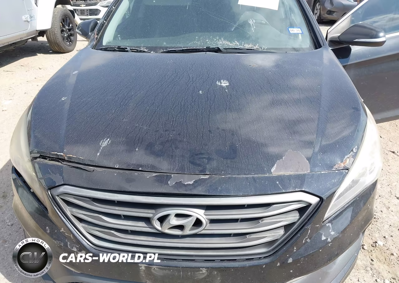 2016 Hyundai Sonata Sport VIN:5NPE34AF5GH374527 - 10