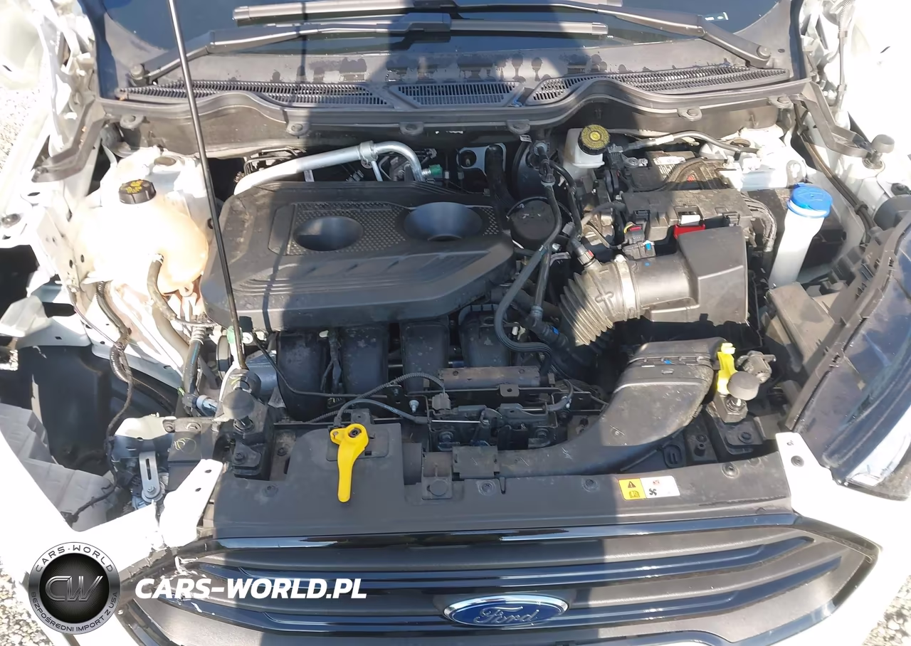 2020 Ford Ecosport S VIN:MAJ6S3FLXLC394235 - 10