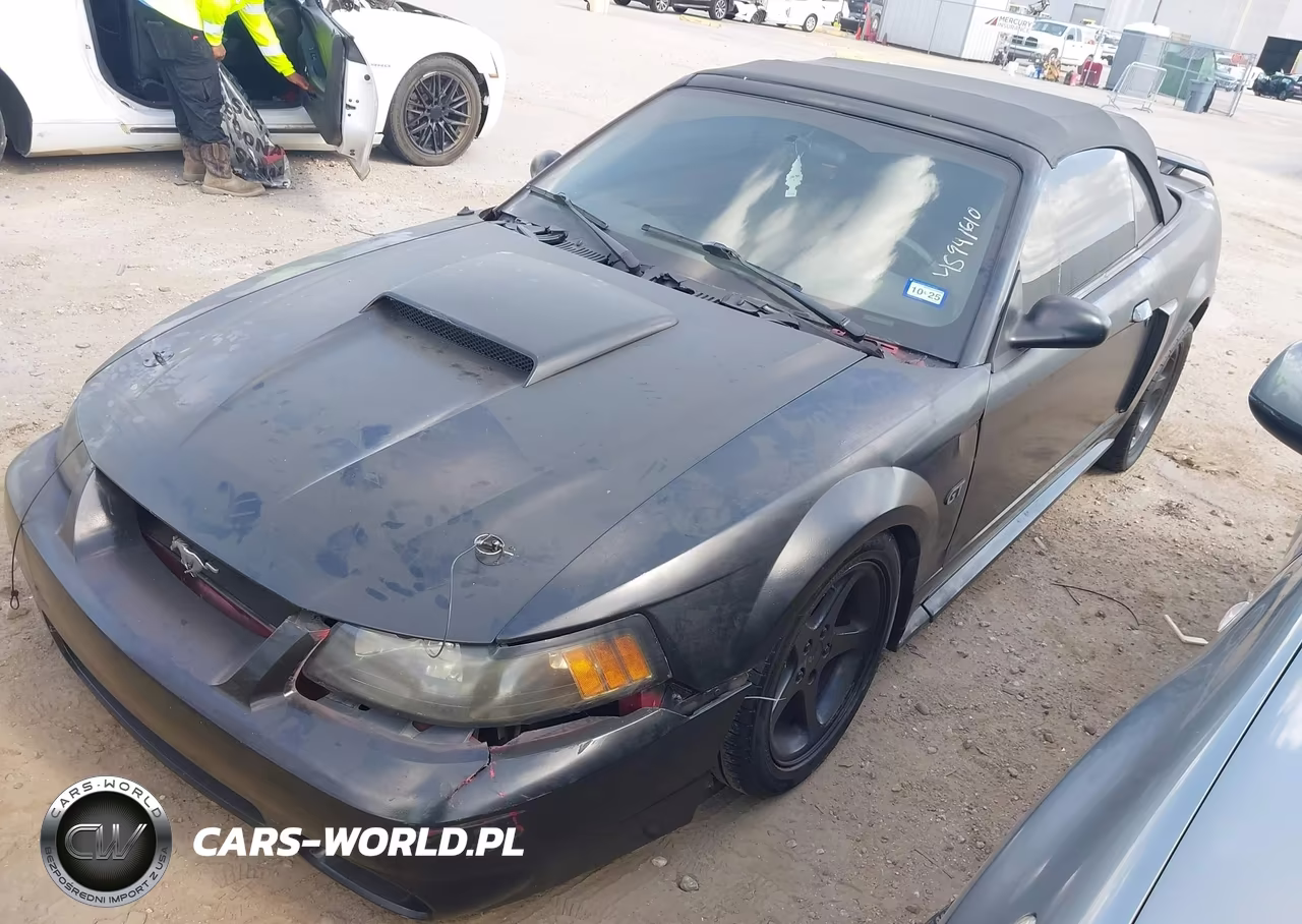 2003 Ford Mustang Gt VIN:1FAFP45X13F393727 - 2