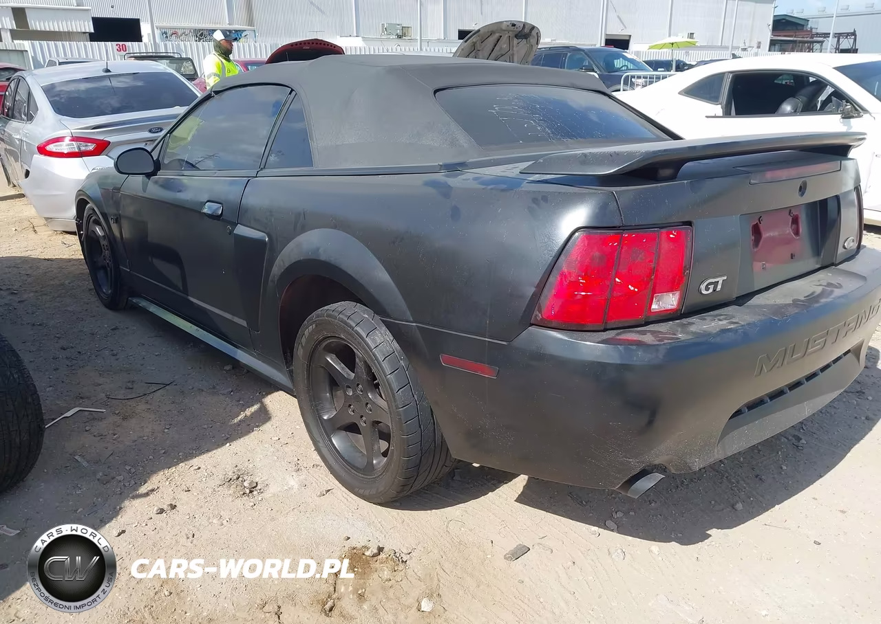 2003 Ford Mustang Gt VIN:1FAFP45X13F393727 - 3